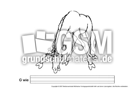 G-wie-Giraffe.pdf